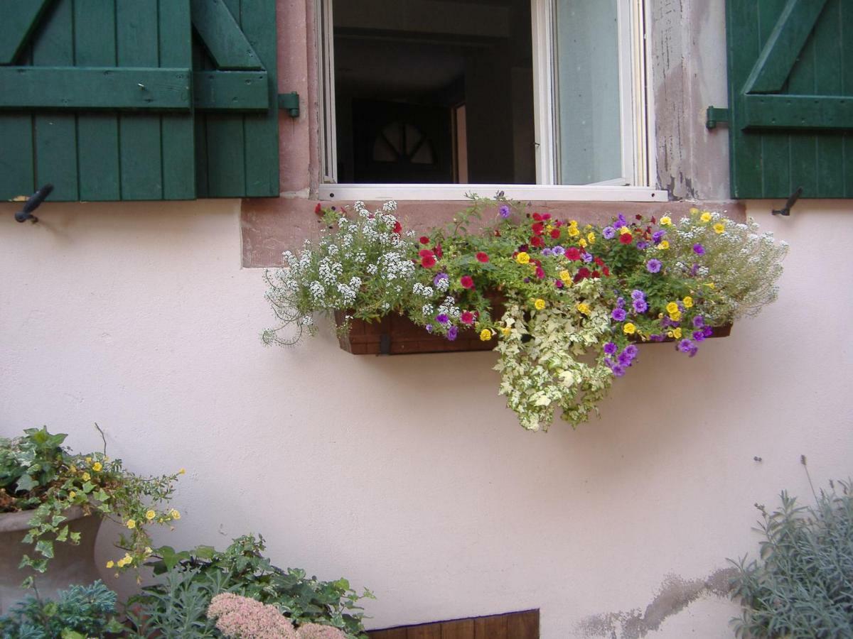 Charmant Petit Appartement En Alsace Bouxwiller (Bas-Rhin) Exterior foto