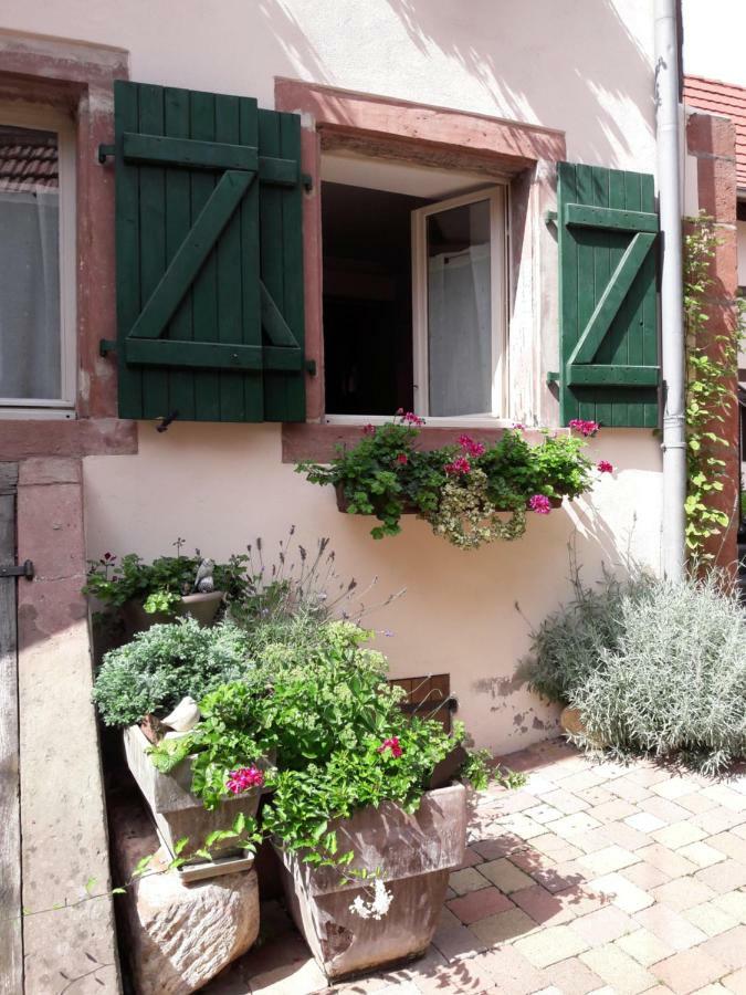 Charmant Petit Appartement En Alsace Bouxwiller (Bas-Rhin) Exterior foto